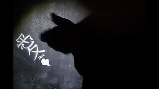 Bad wolf28 と彼の最も強力な術。